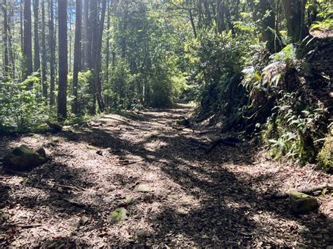 雙龍入|西巒大山簡介 雙龍進出攻略 包含地形 水源 野營點 住宿 交通完整。